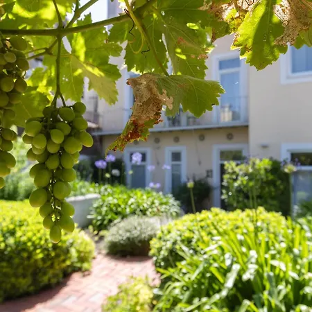 Graca Hidden Garden By Lovelystay Apartment *